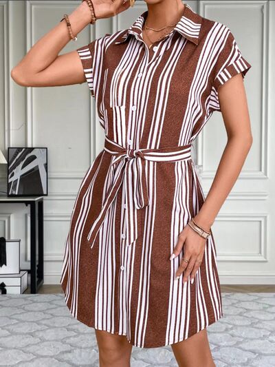 Striped Button Up Tie Waist Mini Dress